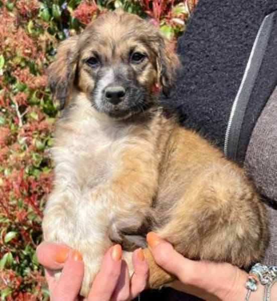 bezaubernder Theo 🤩🤩🤩