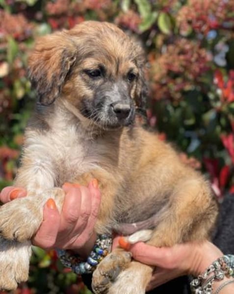 bezaubernder Theo 🤩🤩🤩