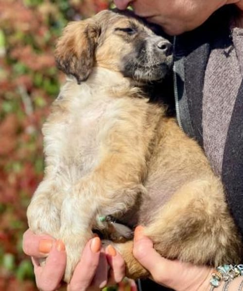 bezaubernder Theo 🤩🤩🤩