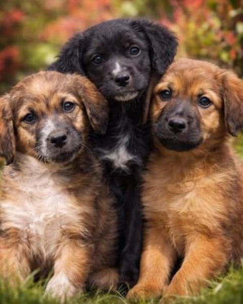 bezaubernder Theo 🤩🤩🤩