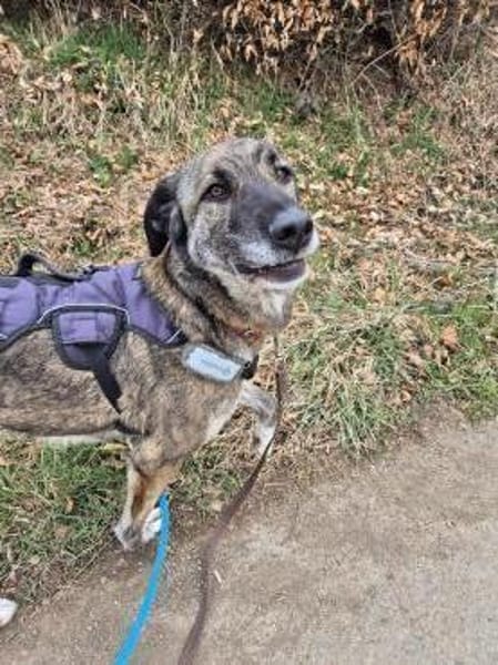 April, wunderschön und liebevoll