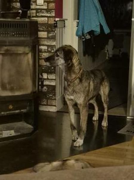 April, wunderschön und liebevoll