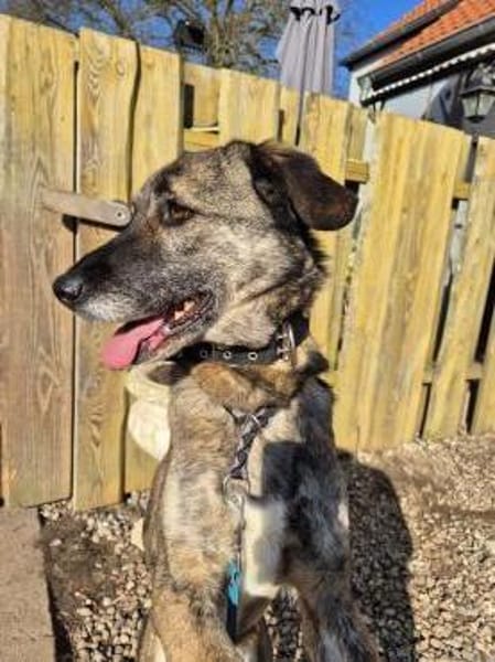 April, wunderschön und liebevoll