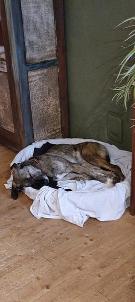 April, wunderschön und liebevoll