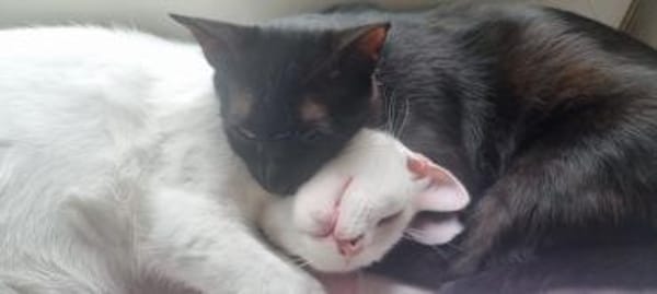 Elba & Ferrara extrem menschenbezogen