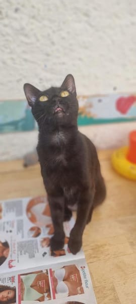 Elba & Ferrara extrem menschenbezogen