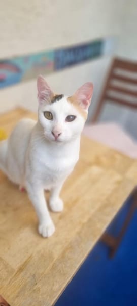 Elba & Ferrara extrem menschenbezogen