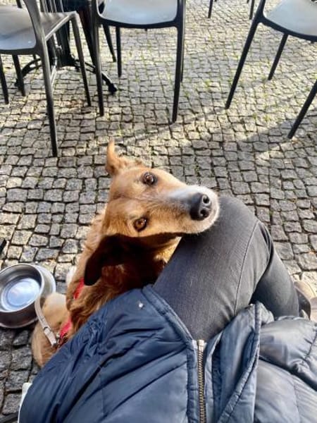 DARF CHICLETE ENDLICH ANKOMMEN &BLEIBEN?