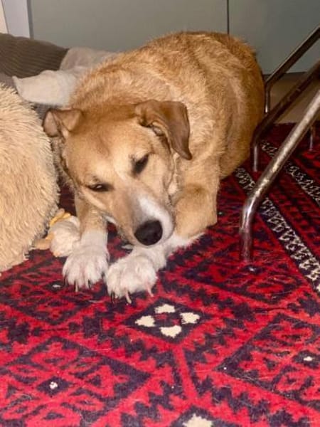 DARF CHICLETE ENDLICH ANKOMMEN &BLEIBEN?