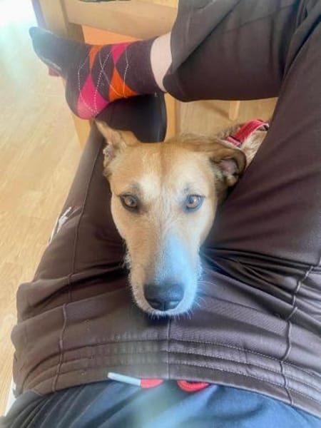 DARF CHICLETE ENDLICH ANKOMMEN &BLEIBEN?