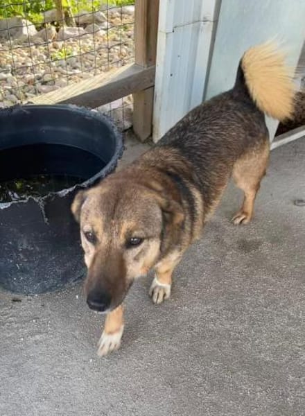 WANN FINDET NEYMAR SEINE MENSCHEN ?!