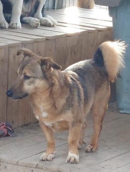 WANN FINDET NEYMAR SEINE MENSCHEN ?!