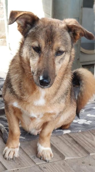 WANN FINDET NEYMAR SEINE MENSCHEN ?!