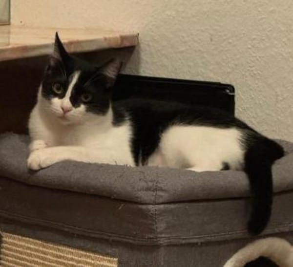 Sohn Edgar und Mama Wilma