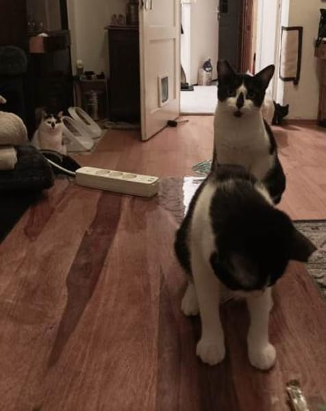 Mama Wilma und Sohn Edgar