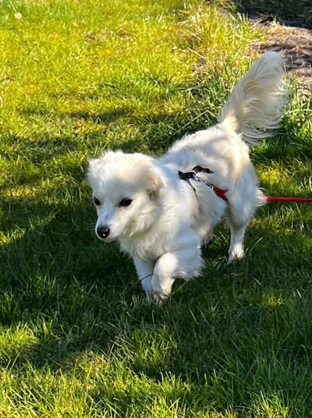 Schüchterne kleine Allie sucht Familie