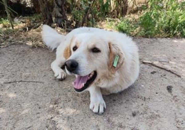 JOHNSON - möchte endlich eine Familie