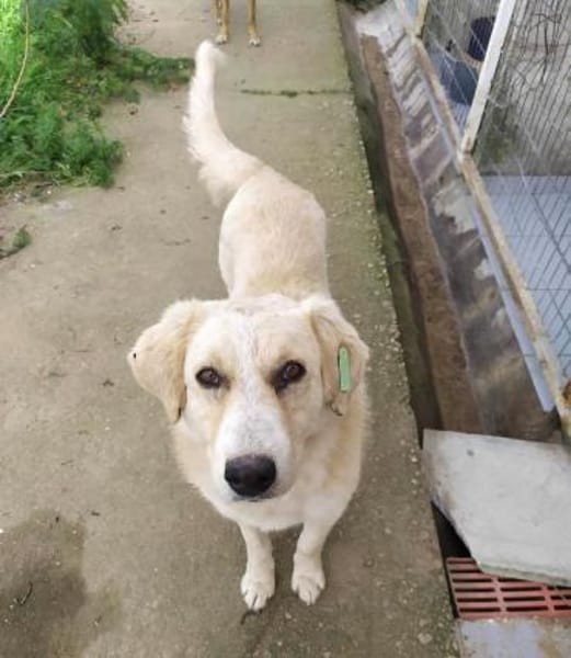 JOHNSON - möchte endlich eine Familie