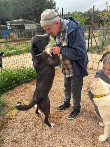 Meks - toller, lieber Kerl