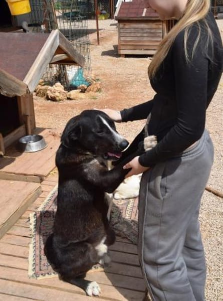 Meks - toller, lieber Kerl