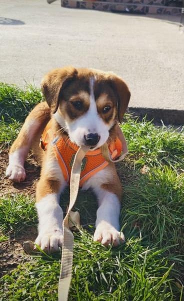 Ellie einfach nur lieb und freundlich