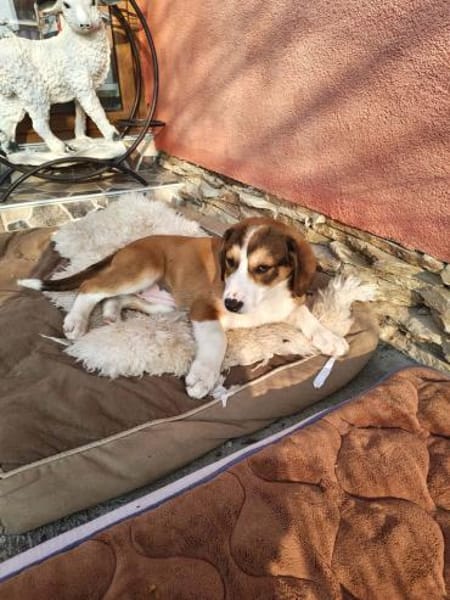 Ellie einfach nur lieb und freundlich