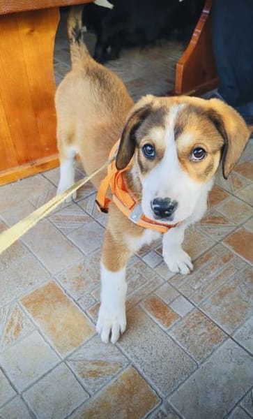 Ellie einfach nur lieb und freundlich