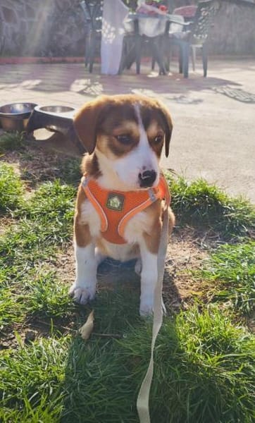 Ellie einfach nur lieb und freundlich