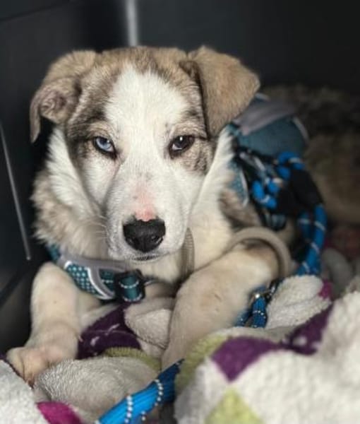 Sandi möchte die Welt entdecken