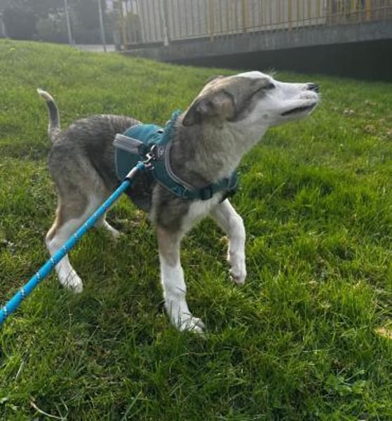 Sandi möchte die Welt entdecken