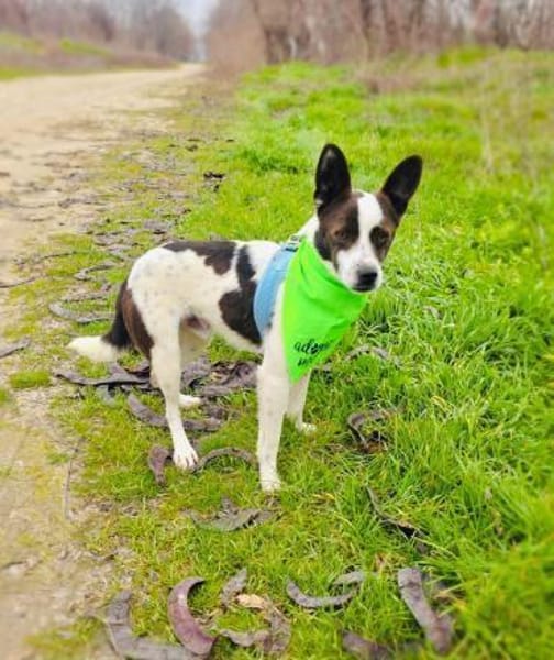 Gutsi einfach nur zauberhaft