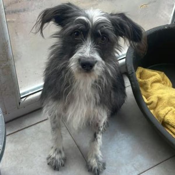 Britta ❤ wartet in 51063 Köln