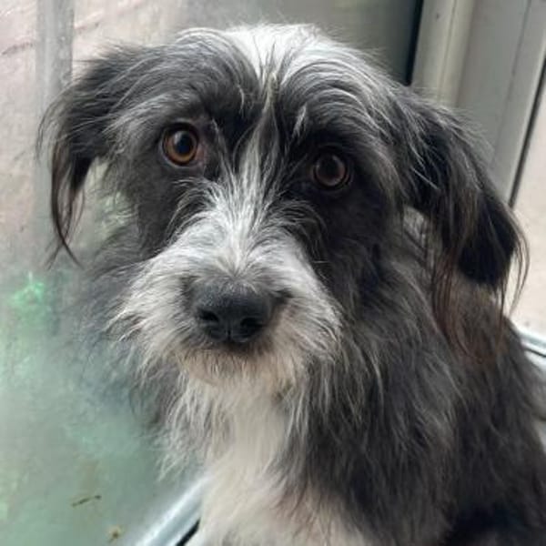 Britta ❤ wartet in 51063 Köln