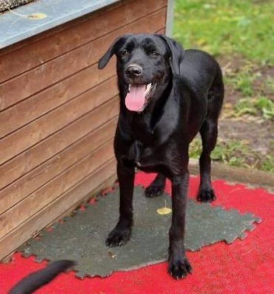 OTTO 2 sucht seine Menschen