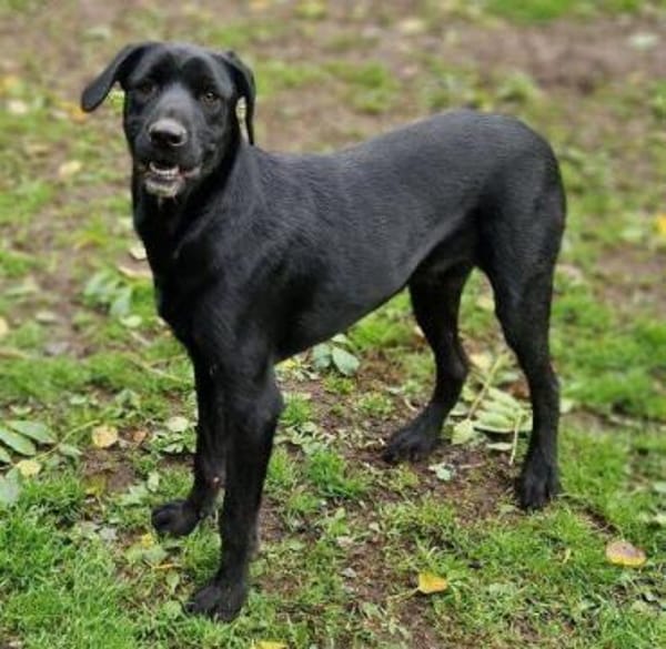 OTTO 2 sucht seine Menschen