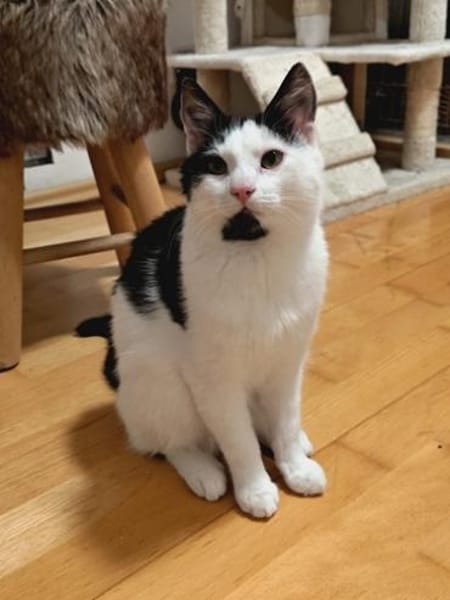 Skadi & Balder möchten sich nicht trenne