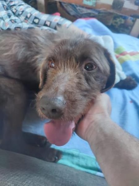 Alfred - Kuschelmonster liebt Kinder !