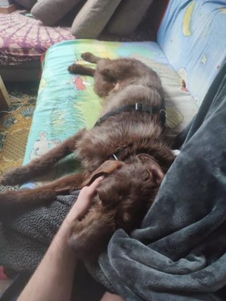 Alfred - Kuschelmonster liebt Kinder !