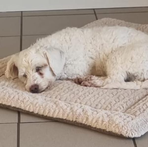 Wolke💕wartet in 34119 Kassel