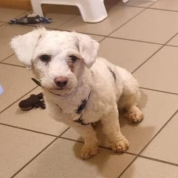 Wolke💕wartet in 34119 Kassel