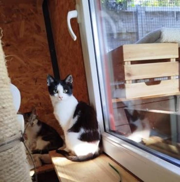 Jule - gute Futterverwerterin