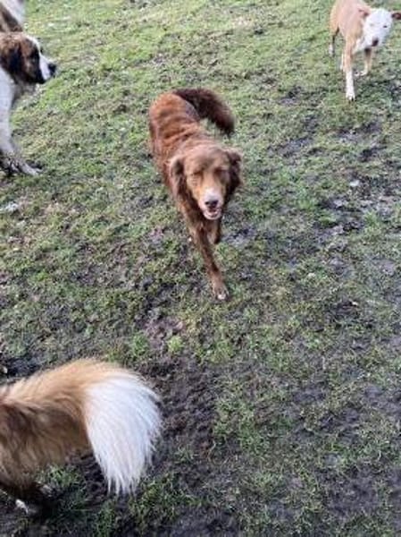 Milow - ich brauche Führung