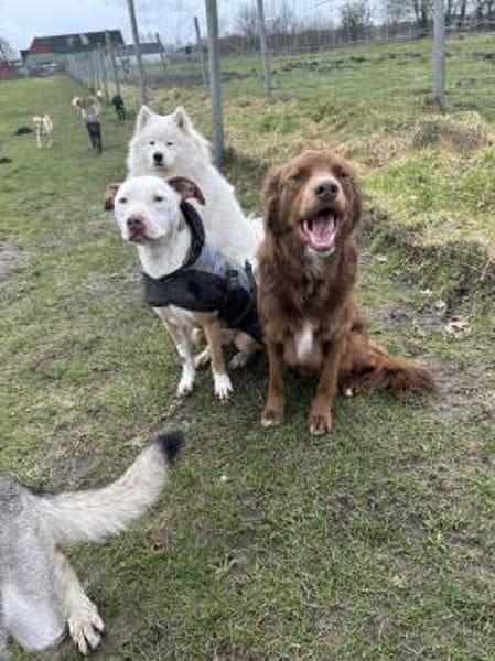 Milow - ich brauche Führung