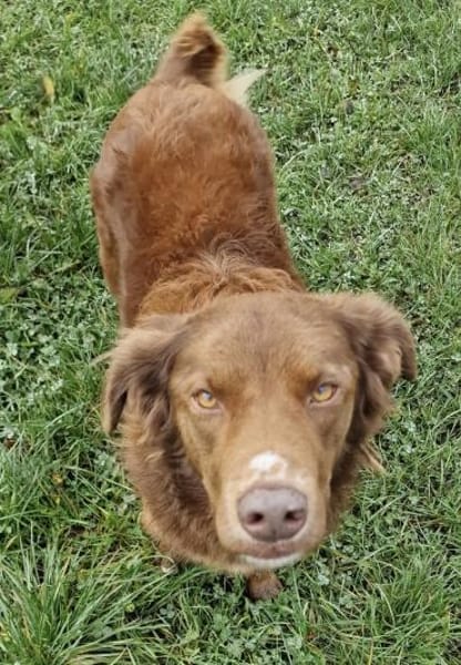 Milow - ich brauche Führung