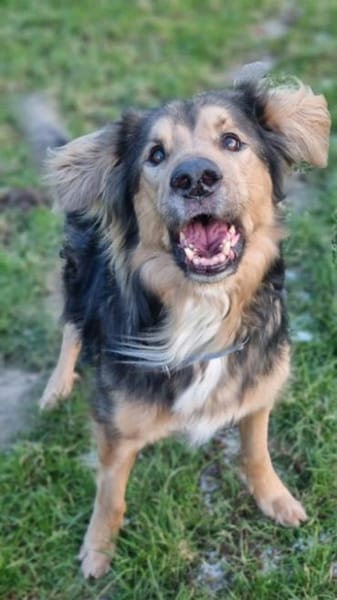 Jumper, Rohdiamant mit viel Potential