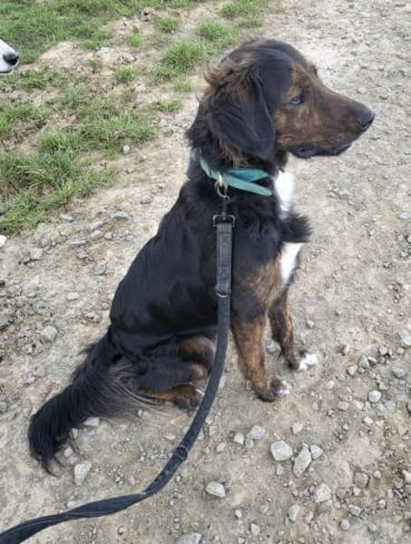 AKKI - jung, freundlich und sportlich