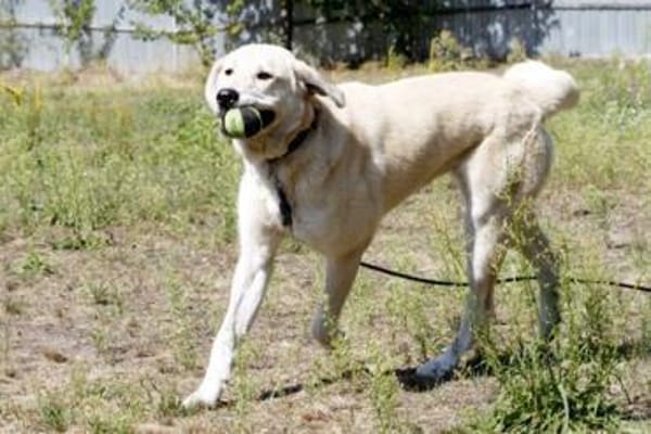 Basti - Riesenbaby su. Lebensplatz