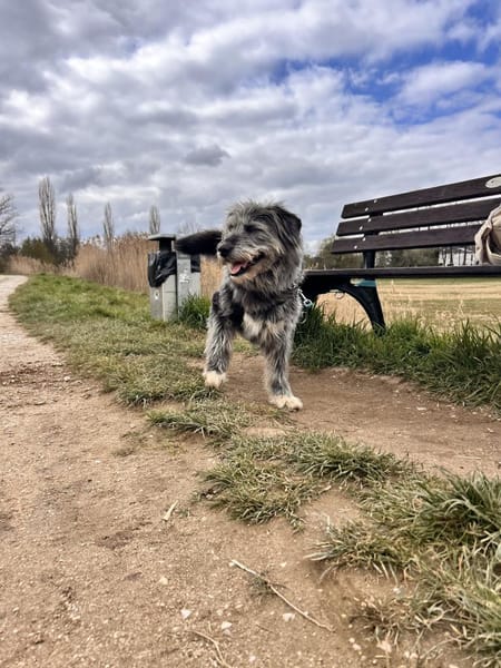 BLUE - Ozeanblaue Augen suchen DICH