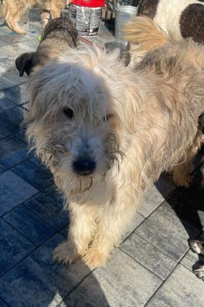 Justus💕wartet in 67590 Monsheim