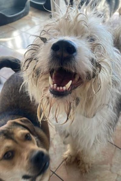 Justus💕wartet in 67590 Monsheim